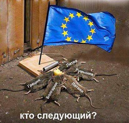 Бесплатный сыр