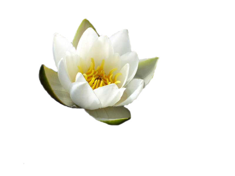 КЗ № 10. Использование быстрой и обтравочной масок