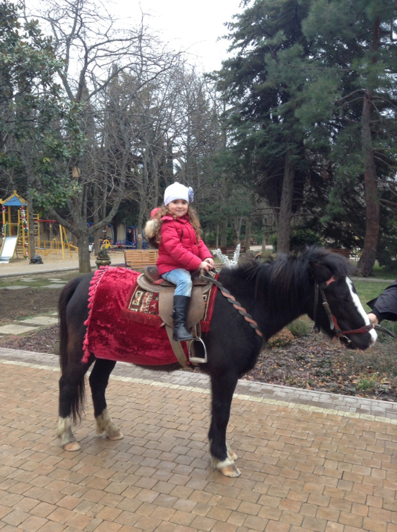 Новый год 2014