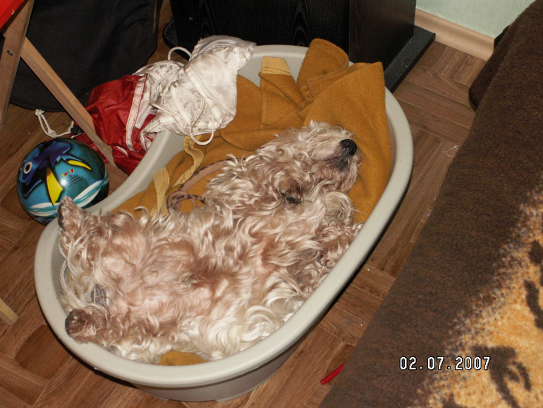 Прогулка....