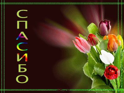 Спасибо за Элькар!