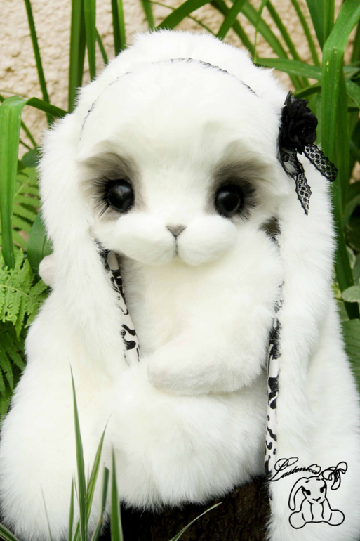 Моя самая большая зайка