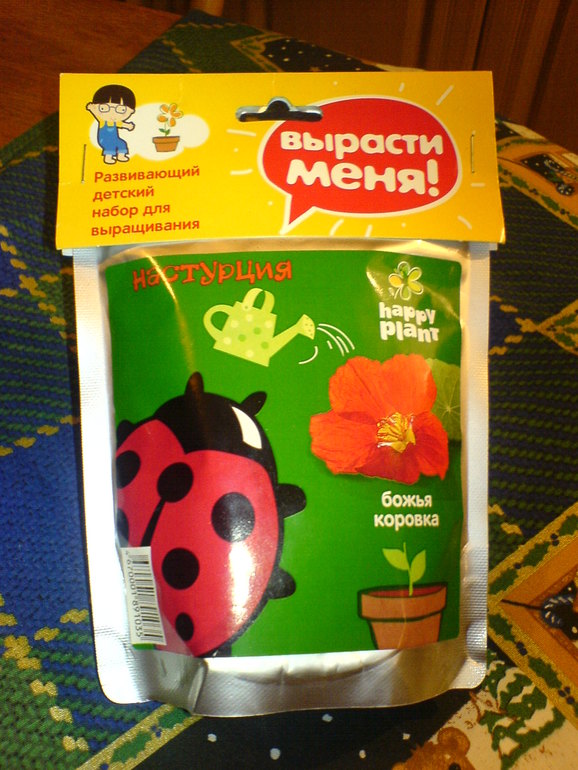 Калининградский хомячок готов переехать в новый дом