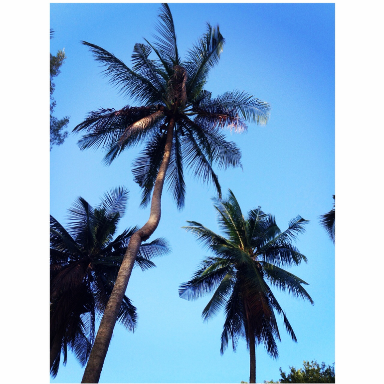 Всем привет)Это мы)