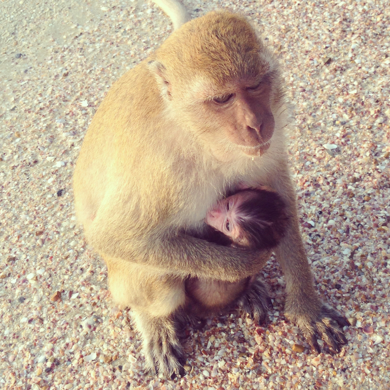 Всем привет)Это мы)