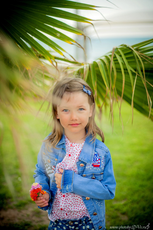 Виолетта. Летнее