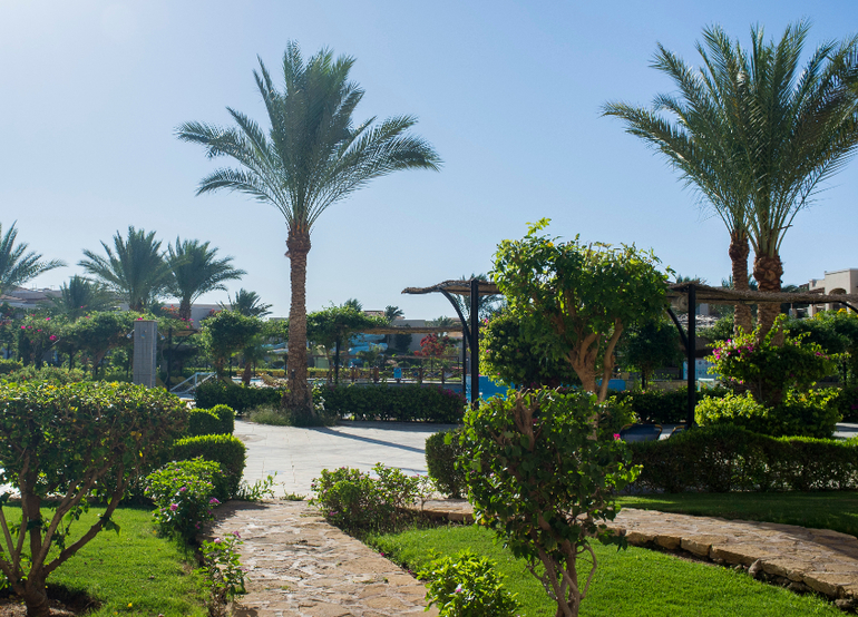 А мы слетали в Египет!