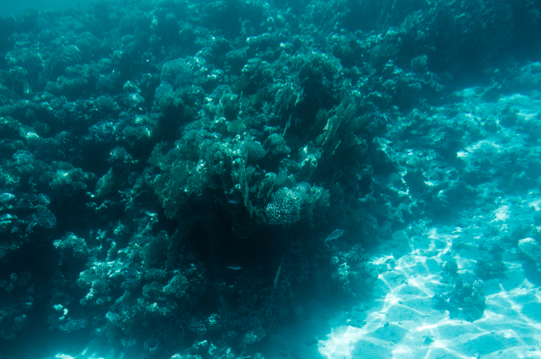 А мы слетали в Египет!