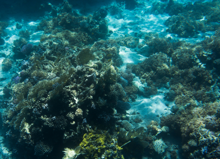 А мы слетали в Египет!