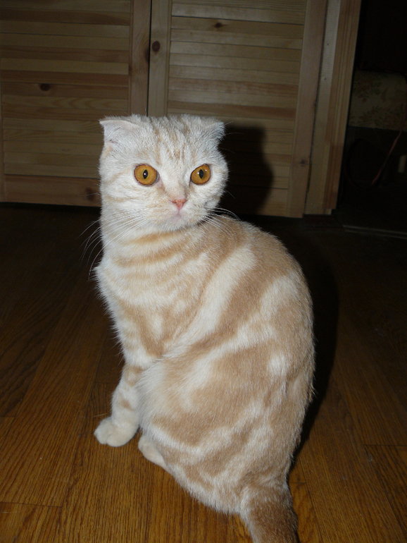 Наши "Малыши")))