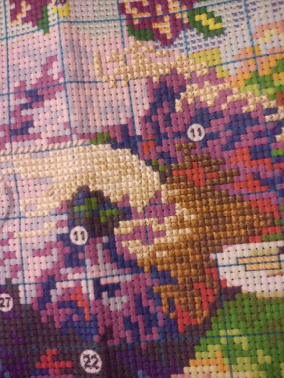 Мини отчет по китайским мишкам