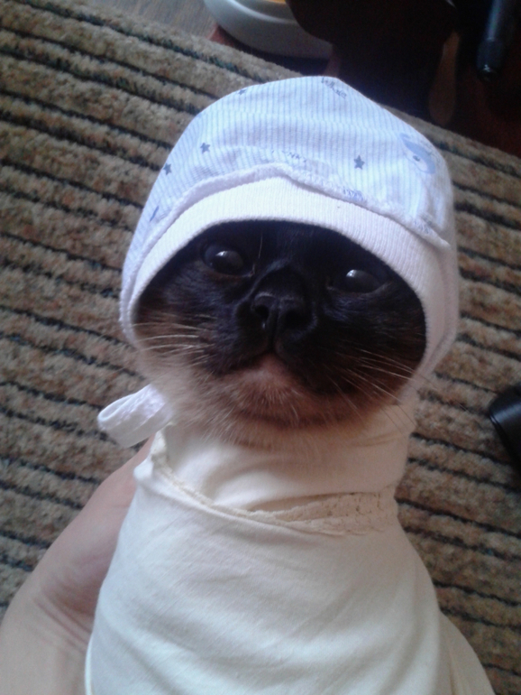 Как развлекается будуущая мама)))