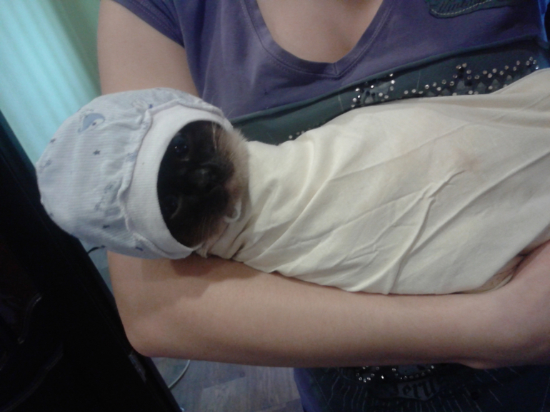 Как развлекается будуущая мама)))