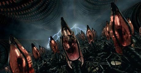 За Ив Сен Лоран