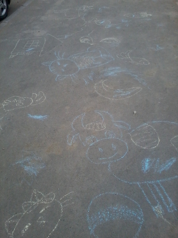 ТН "Домашние животные" 1 день. Вводный