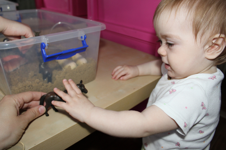 ТН "Домашние животные" 1 день. Вводный