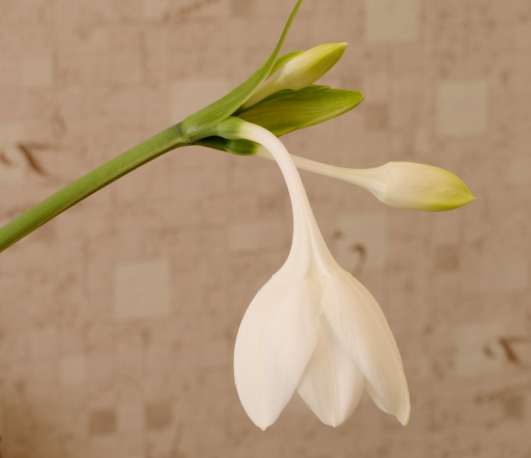 Дождалась!!!