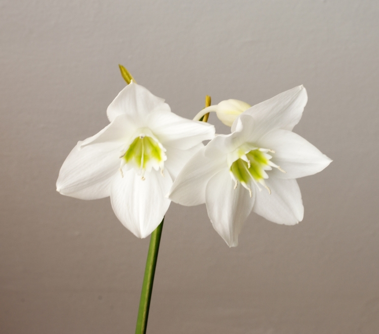 Дождалась!!!