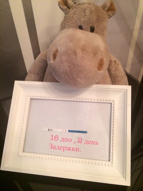16 дпо второй день задержки !!!
