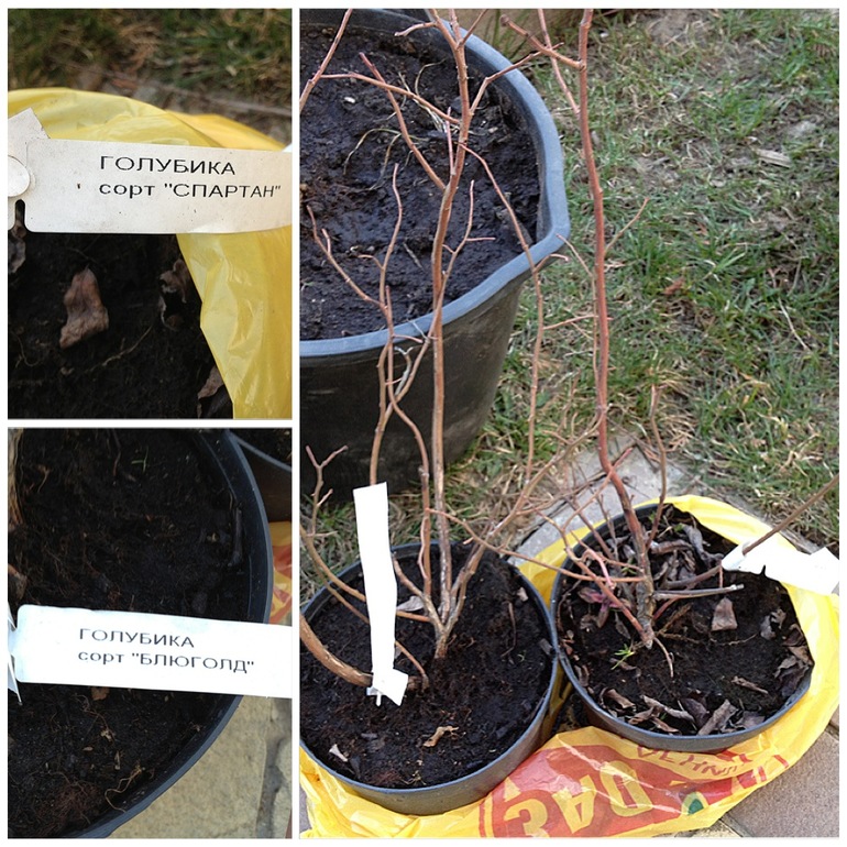 Сезон открываем...