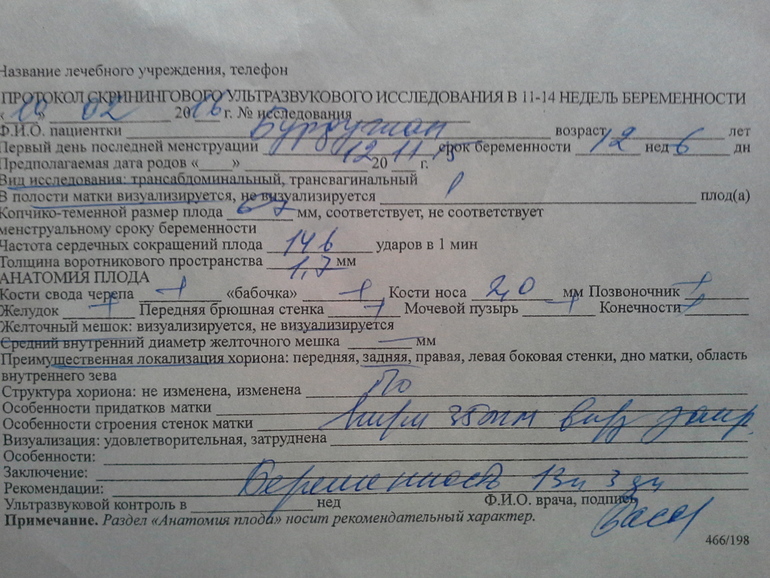 Узи на 13 неделе беременности скрининг