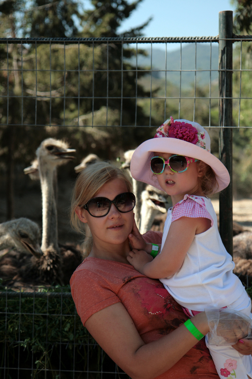 Miraluna Kiotari Bay 4-5*. Родос