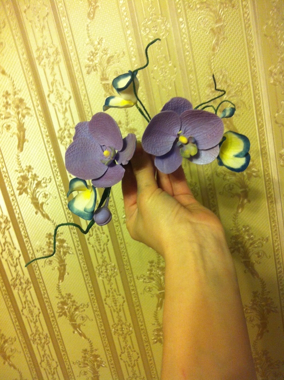 И у меня орхидея )