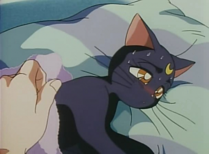 за "ленивое платье"