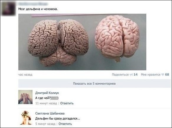 Смешные комментарии...