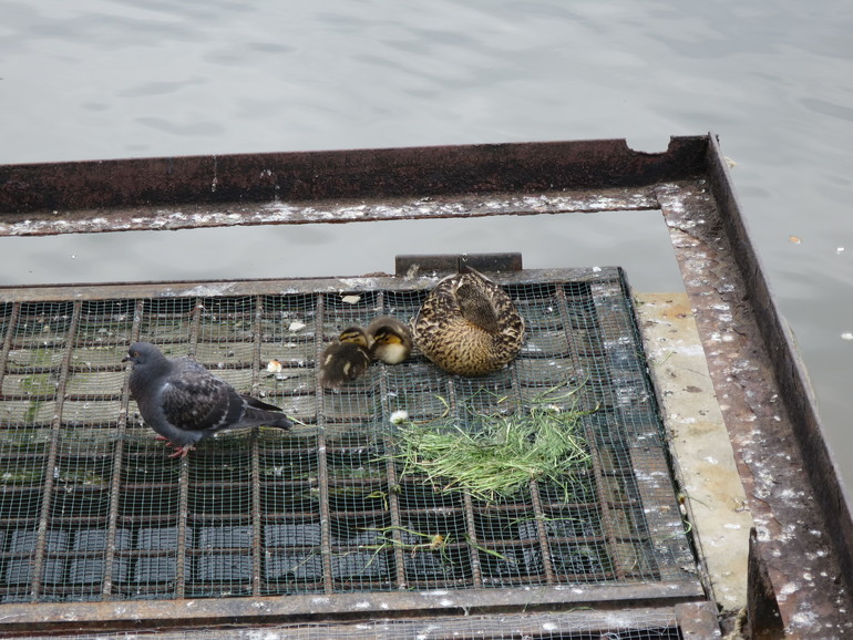 Выходные и не только часть 1