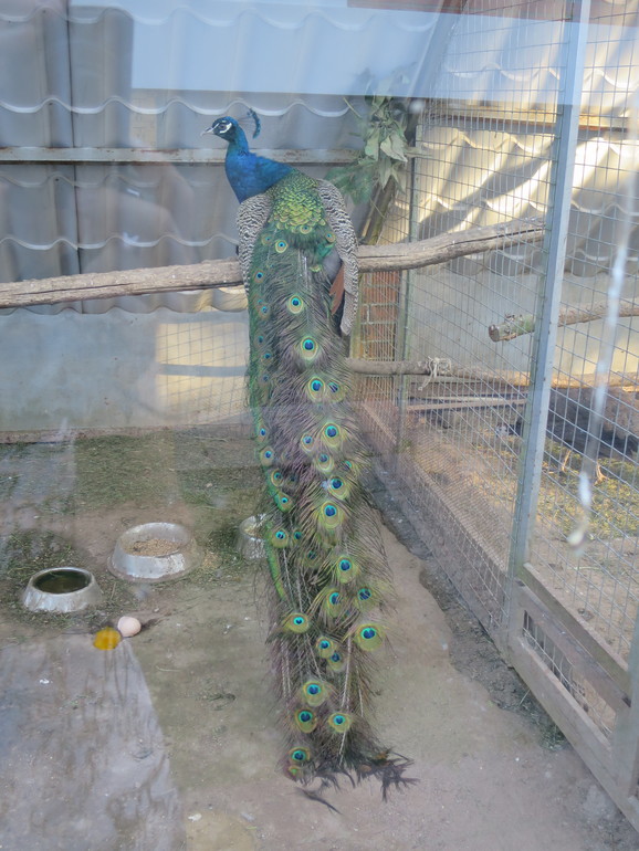 Выходные и не только часть 1