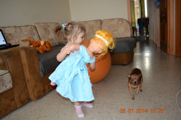 ТЗ Бал у снежной королевы