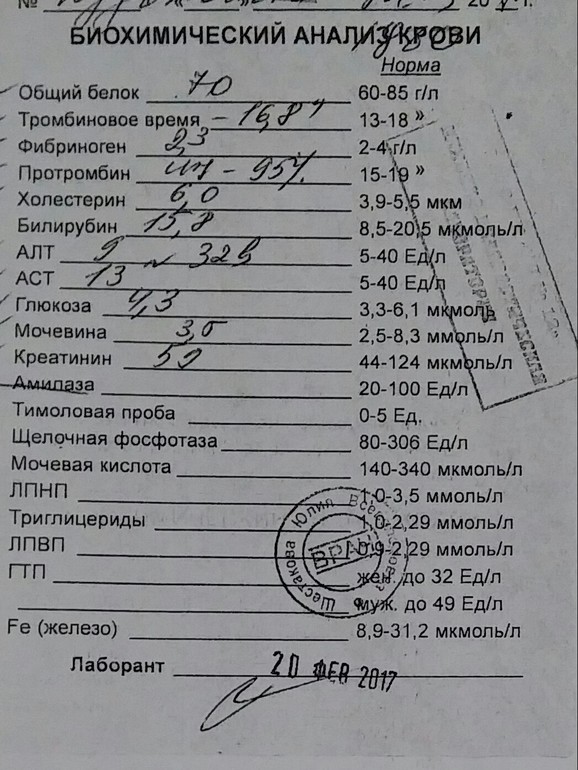 Подруга беременна я завидую 10