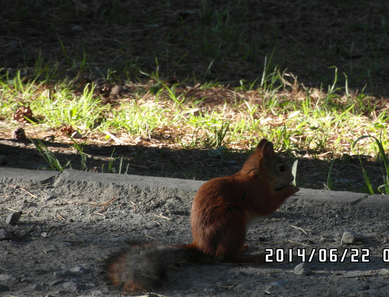 Закончился наш отпуск...