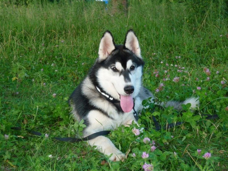 Контрольное задание № 17. "Применение инструмента Elliptical Marquee (Овальная область выделения)"