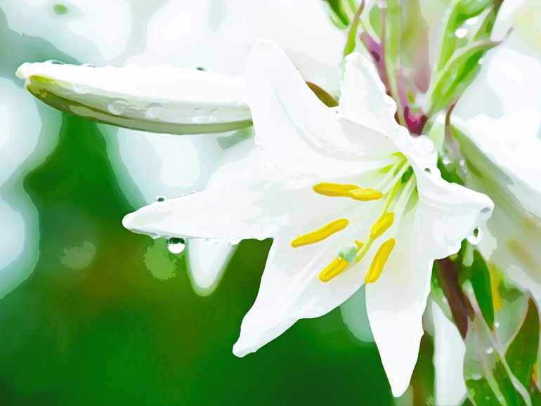 Контрольное задание № 37. "Легкий эффект акварели"