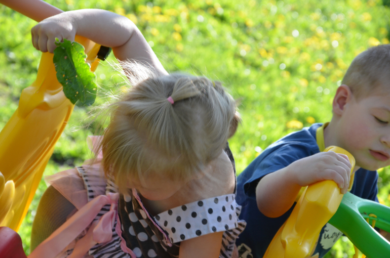 мы в деревне