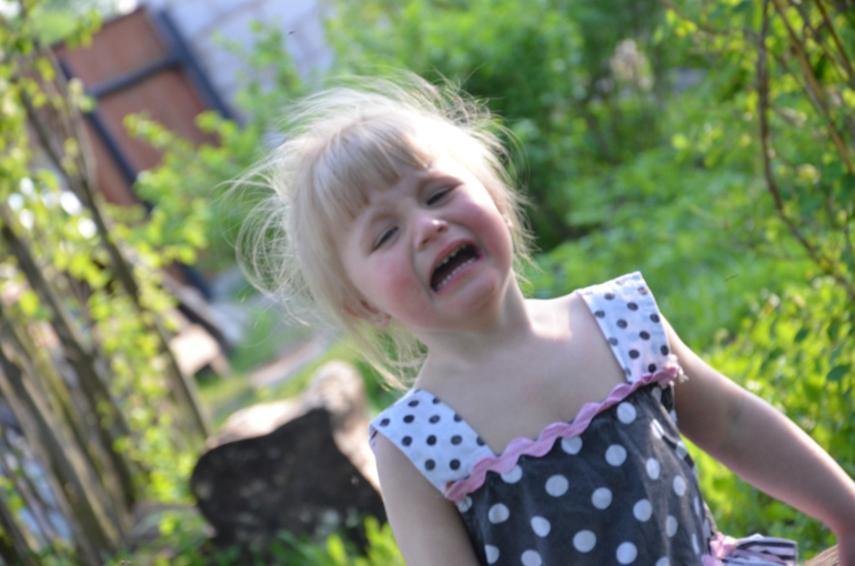 мы в деревне