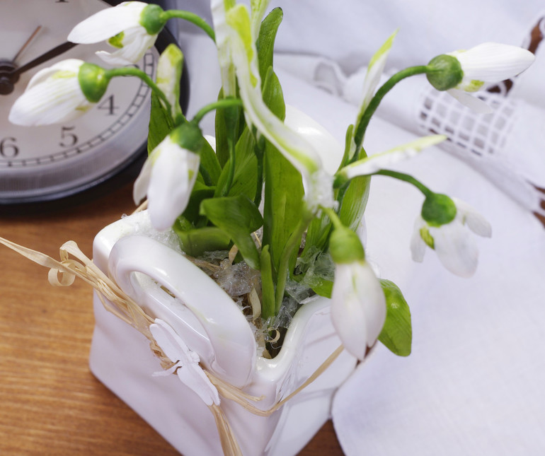 подснежники...