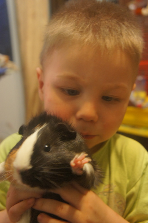 Мальчики и их любимица!