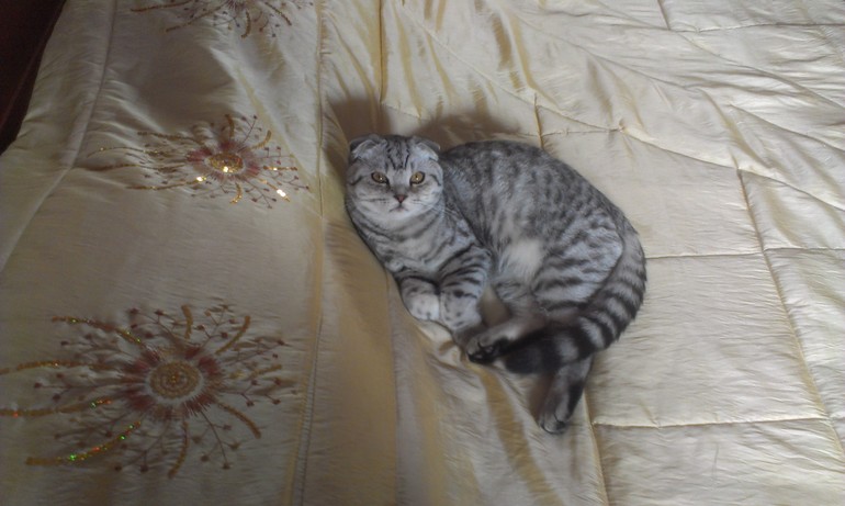 Семену годик!!