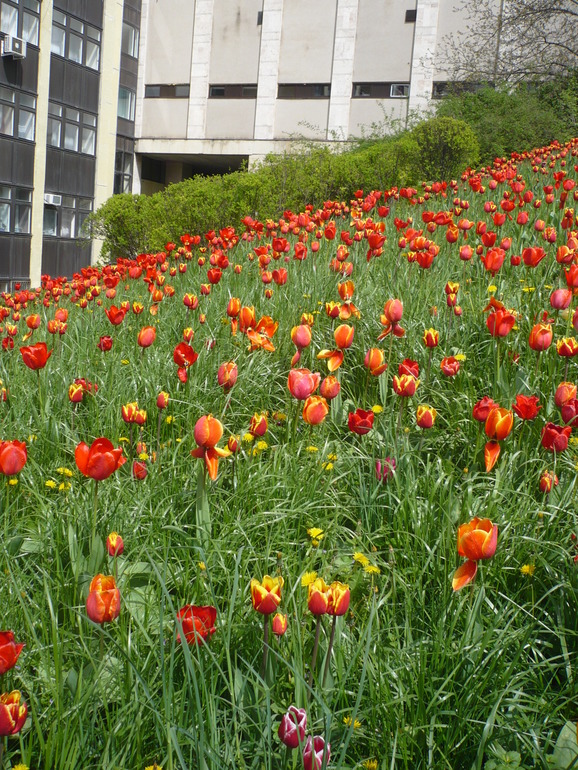 2010 год.. и мои 29. Часть 1.