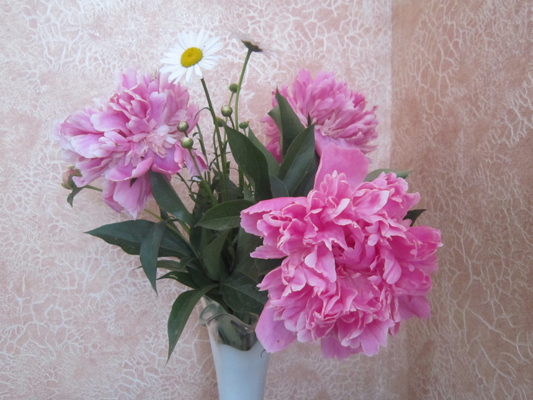 Взлет 74/ день 21