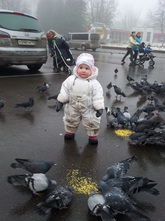 Пугаем гулей