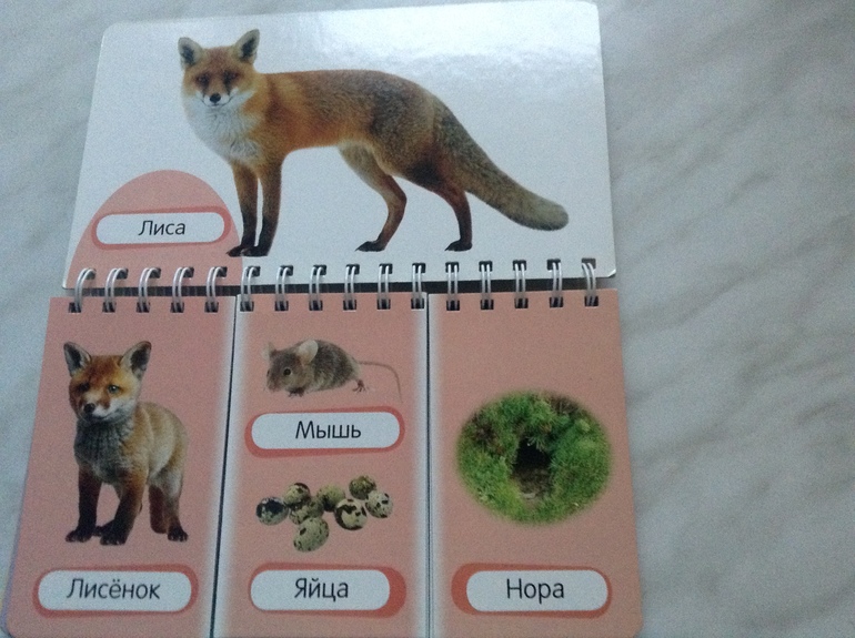 Обзор книжек Азбукварика