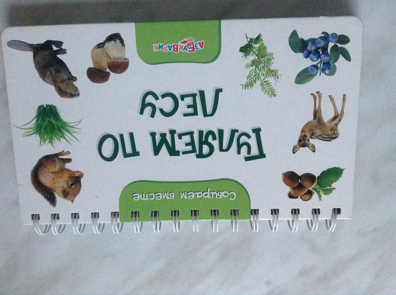 Обзор книжек Азбукварика