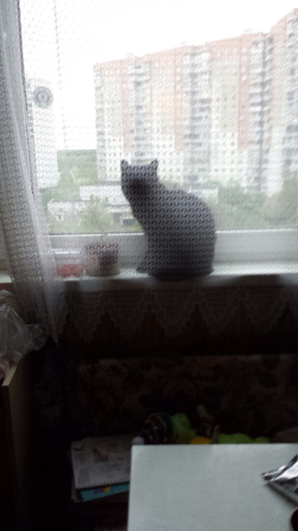 Нашли котэ