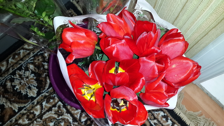 С днем рождения,меня!!!!!