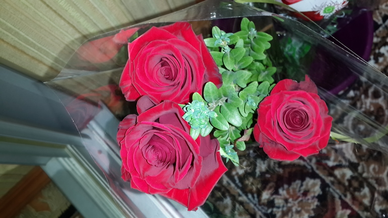 С днем рождения,меня!!!!!