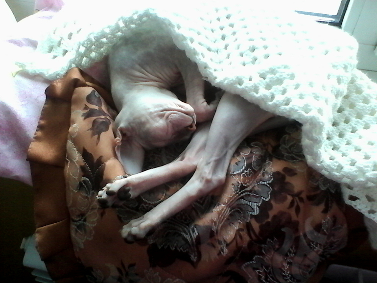 нашей девочке 8 мес.